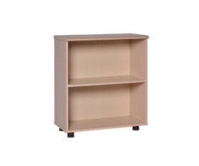 Tủ tài liệu NT880N