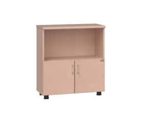 Tủ tài liệu NT880SDN