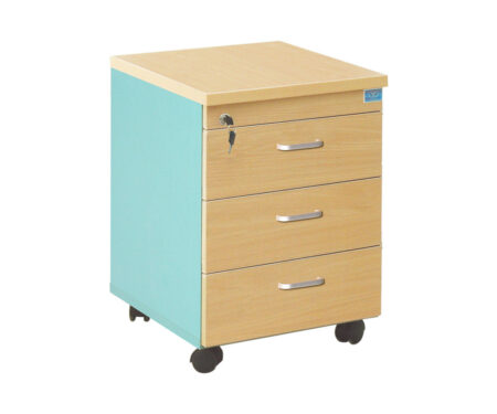 Hộc tài liệu SVM3D