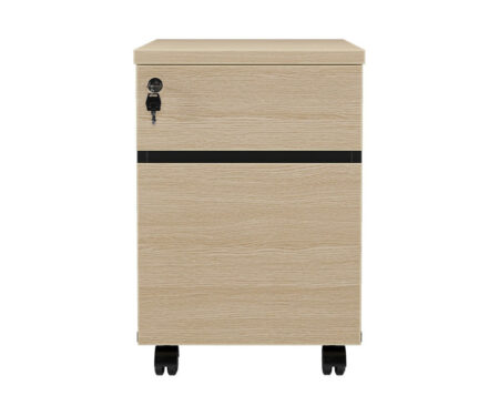 Hộc tài liệu LEM1D1F
