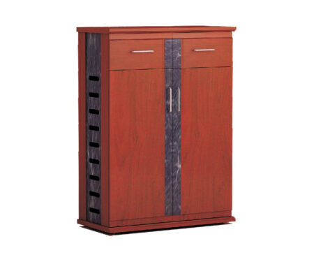 Tủ giày LS21