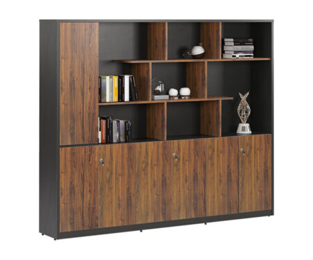 Tủ giám đốc LUXT2420V5