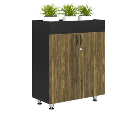 Tủ tài liệu thấp BRI1000-2T2