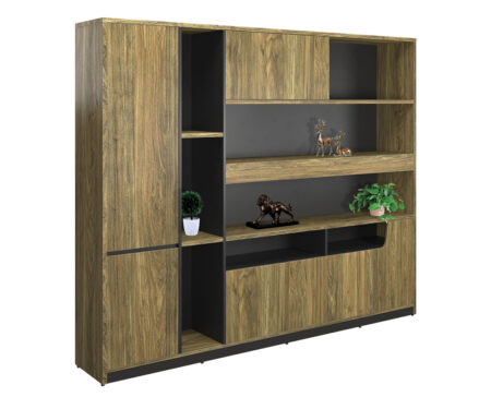 Tủ tài liệu ST2420