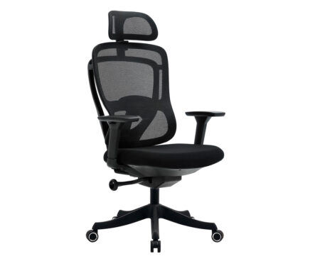 Ghế lưới văn phòng FMX829