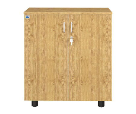 Tủ tài liệu thấp 2 cánh AT880DR