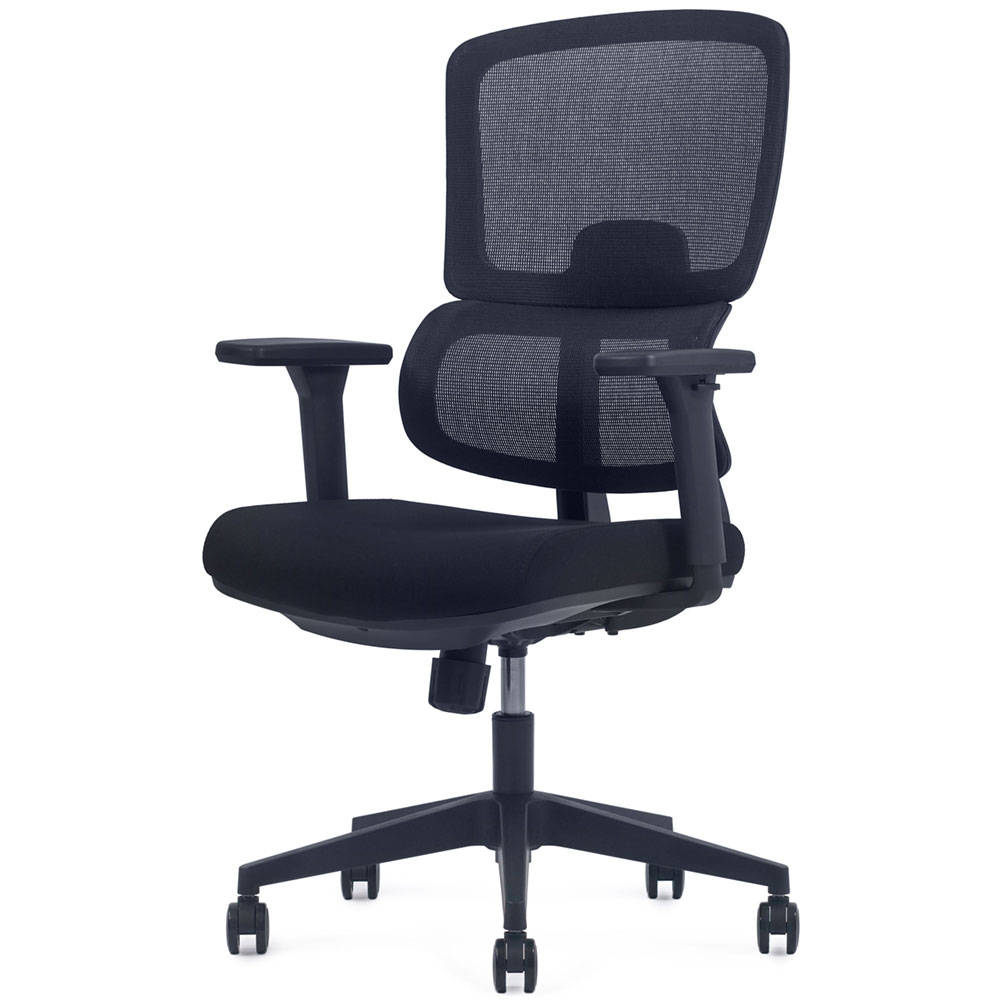 Ghế lưới nhập khẩu FMX817 - Ảnh 2