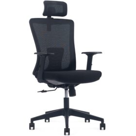 Ghế Công Thái Học Nhập Khẩu FMX804TD