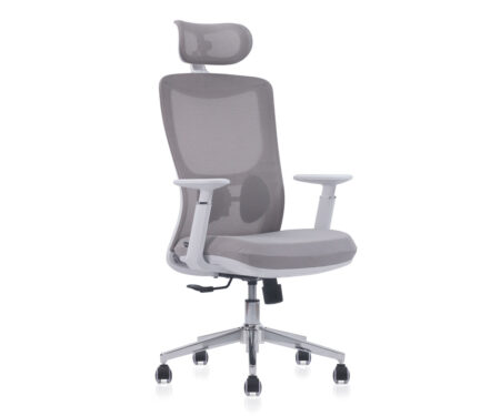 Ghế lưới lãnh đạo FMX821T