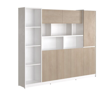 Tủ tài liệu giám đốc NTV2420T1