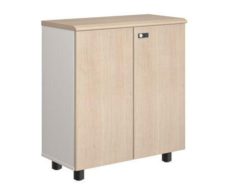 Tủ gỗ thấp 2 cánh NTV880D