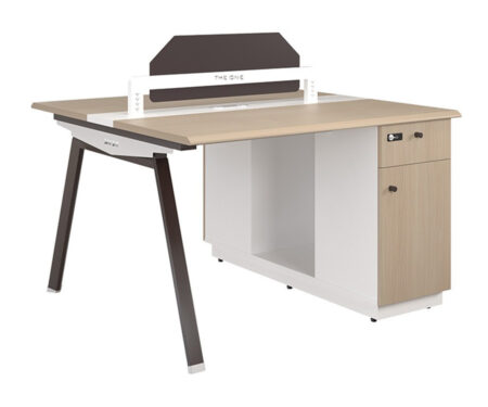 Module bàn làm việc 2 chỗ NTVMD01-2C17