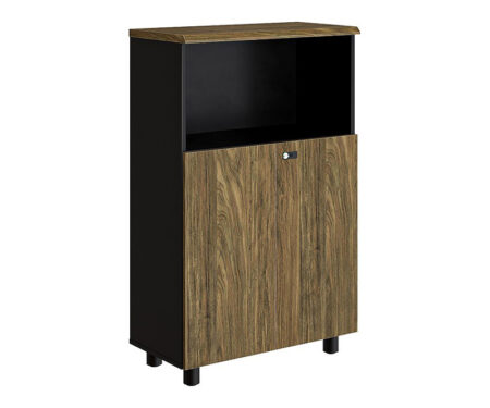 Tủ tài liệu gỗ NTV1260SD