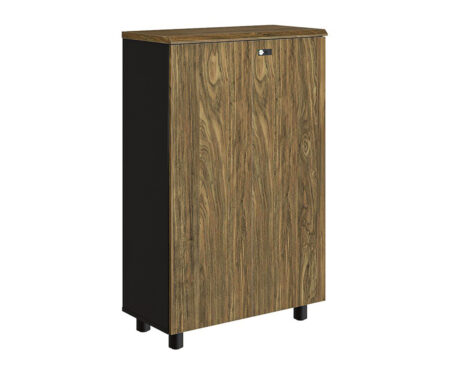 Tủ gỗ 2 cánh NTV1260D